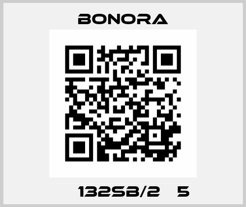 АХ132SB/2 В5 Bonora
