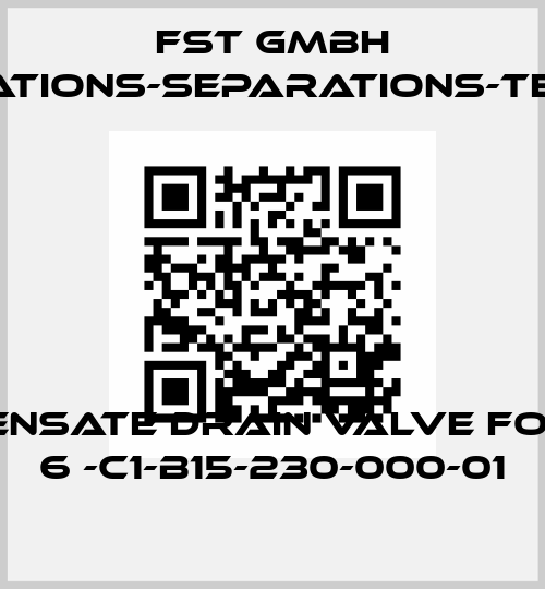 condensate drain valve for DPS 6 -C1-B15-230-000-01 FST