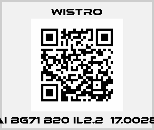 FLAI Bg71 B20 IL2.2  17.002883 Wistro