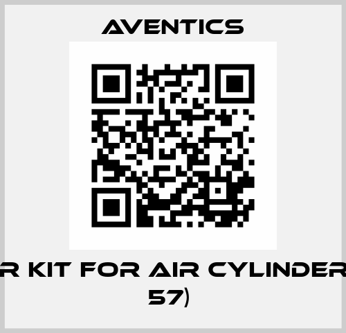 Repair Kit for Air Cylinder (Pos. 57)  Aventics