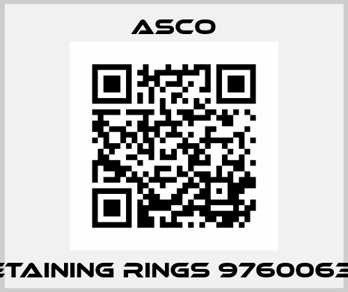 RETAINING RINGS 97600638  Asco