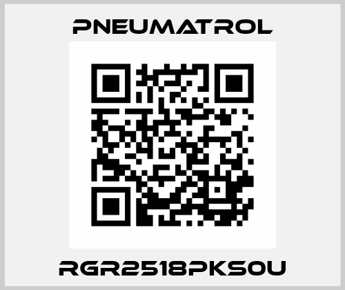 RGR2518PKS0U Pneumatrol