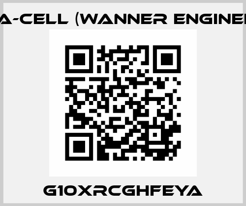 G10XRCGHFEYA Hydra-Cell (Wanner Engineering)