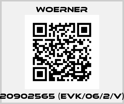 20902565 (EVK/06/2/V) Woerner