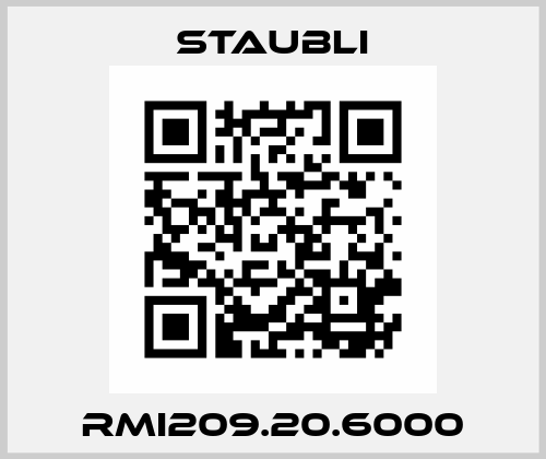 RMI209.20.6000 Staubli