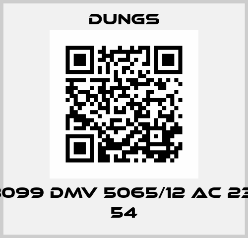 95243099 DMV 5065/12 AC 230 V IP 54 Dungs