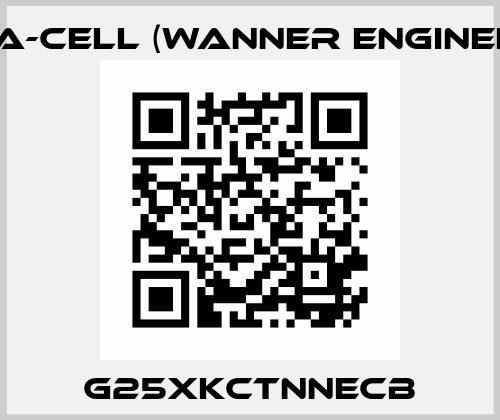 G25XKCTNNECB Hydra-Cell (Wanner Engineering)
