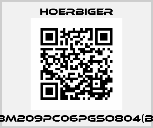 SBM209PC06PGSO804(B2) Hoerbiger