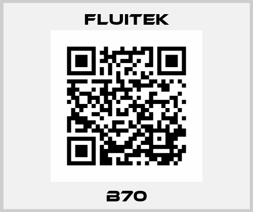 B70 FLUITEK