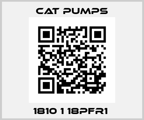 1810 1 18PFR1  Cat Pumps