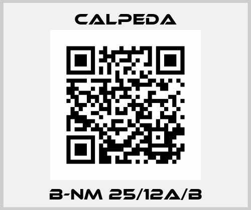 B-NM 25/12A/B Calpeda
