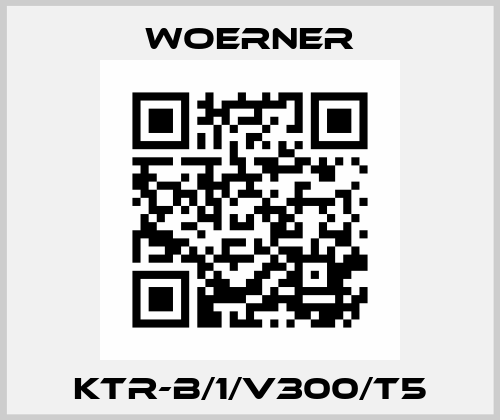 KTR-B/1/V300/T5 Woerner