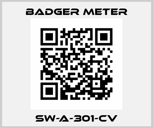 SW-A-301-CV Badger Meter