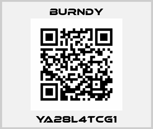 YA28L4TCG1 Burndy