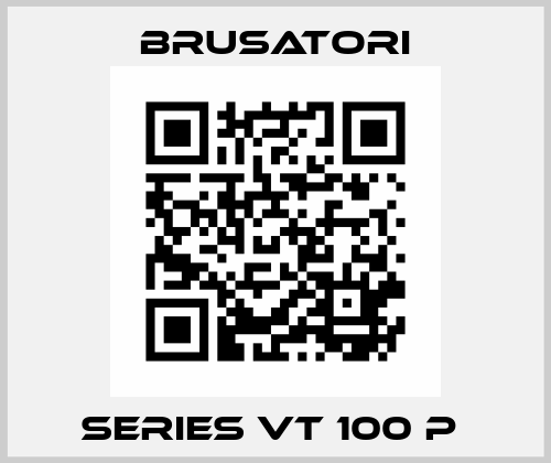 SERIES VT 100 P  Brusatori