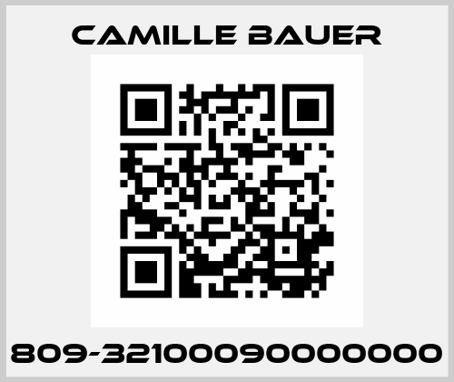 809-32100090000000 Camille Bauer