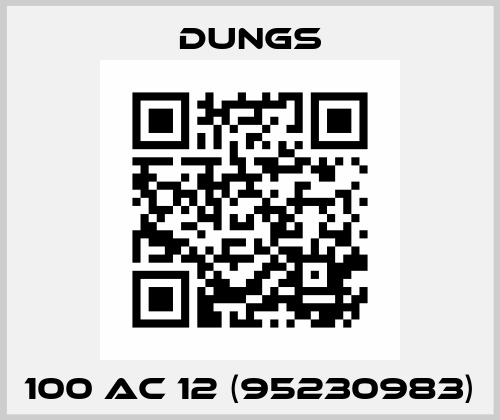 100 AC 12 (95230983) Dungs