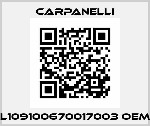 L109100670017003 OEM Carpanelli