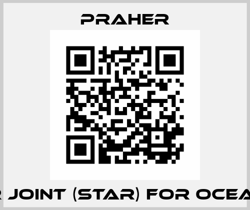 Star joint (star) for OCEAN V6 Praher