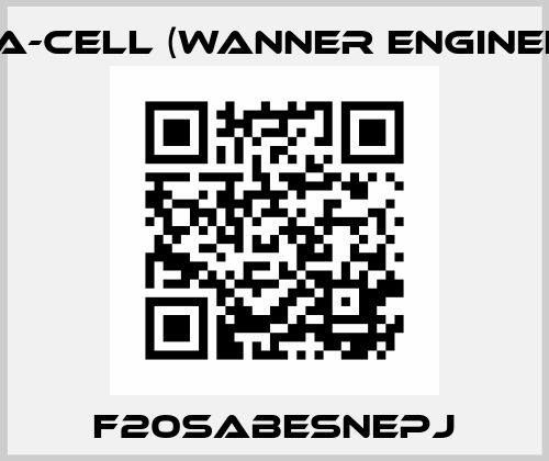 F20SABESNEPJ Hydra-Cell (Wanner Engineering)