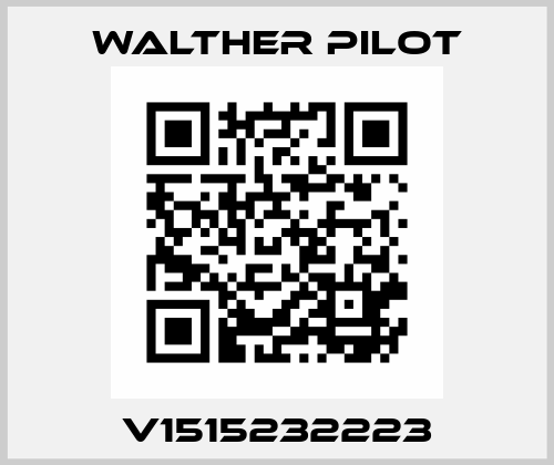 V1515232223 Walther Pilot