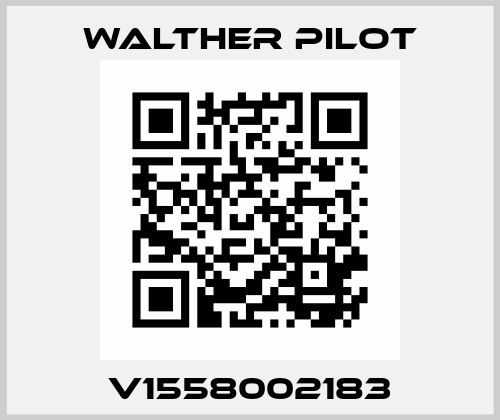 V1558002183 Walther Pilot