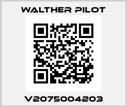 V2075004203 Walther Pilot