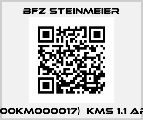 (V00KM000017)  KMS 1.1 AR11 BFZ STEINMEIER