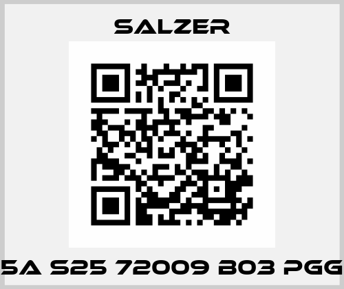 25A S25 72009 B03 PGGB Salzer