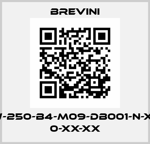 HR-C-LW-250-B4-M09-DB001-N-XXXX-00 0-XX-XX Brevini