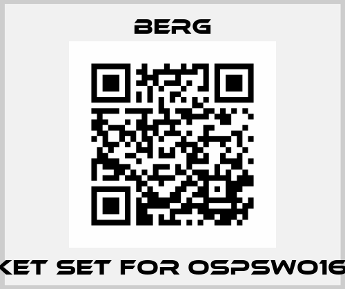 gasket set for OSPSWO160-50 Berg