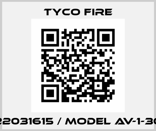 522031615 / MODEL AV-1-300 Tyco Fire