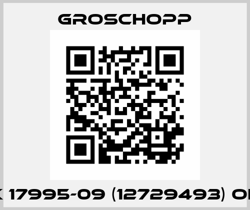 WK 17995-09 (12729493) OEM Groschopp