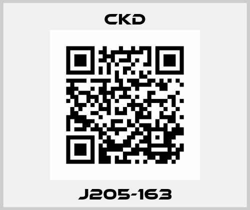 J205-163 Ckd