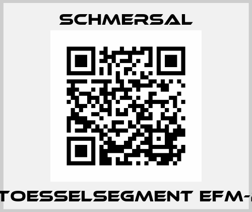 STOESSELSEGMENT EFM-2  Schmersal