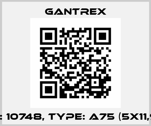 P/N: 10748, Type: A75 (5x11,9m) Gantrex