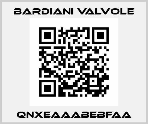 QNXEAAABEBFAA Bardiani Valvole