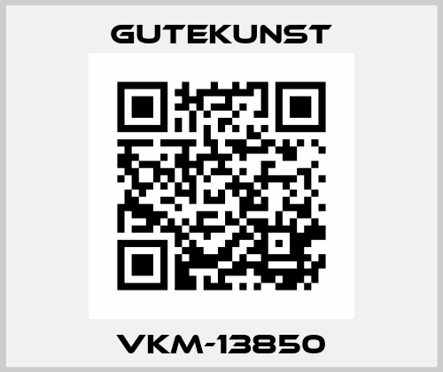 VKM-13850 Gutekunst