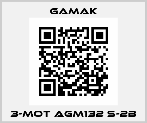 3-MOT AGM132 S-2B Gamak