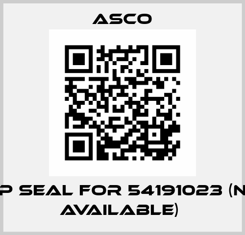 TOP SEAL FOR 54191023 (Not available)  Asco