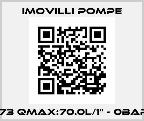 M73 Qmax:70.0l/1" - 0Bar / Imovilli pompe