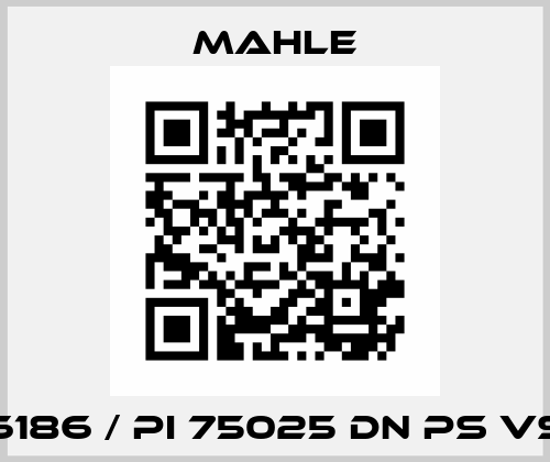 78216186 / PI 75025 DN PS VST 25 MAHLE