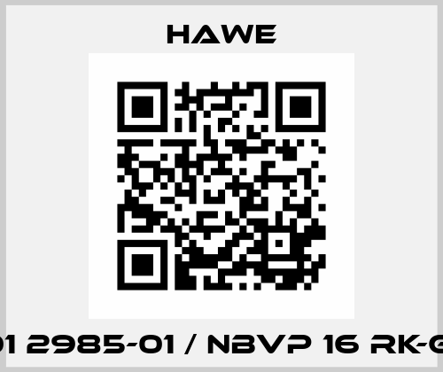 6801 2985-01 / NBVP 16 RK-G 24 Hawe