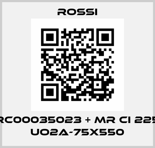 RC00035023 + MR CI 225 UO2A-75x550 Rossi