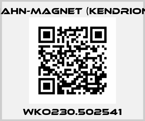 WKO230.502541 HAHN-MAGNET (Kendrion)