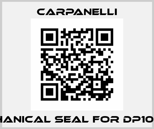 Mechanical seal for DP100 4/8 Carpanelli