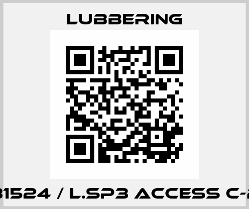 80231524 / L.SP3 access C-22-15 Lubbering