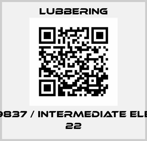 80999837 / Intermediate element 22 Lubbering