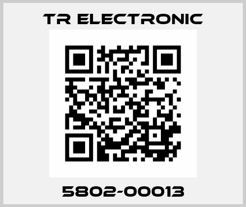 5802-00013 TR Electronic