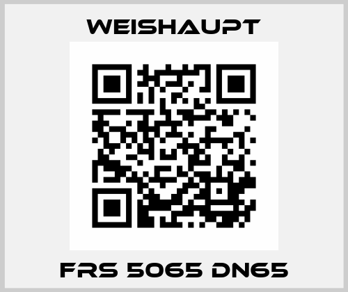 FRS 5065 DN65 Weishaupt